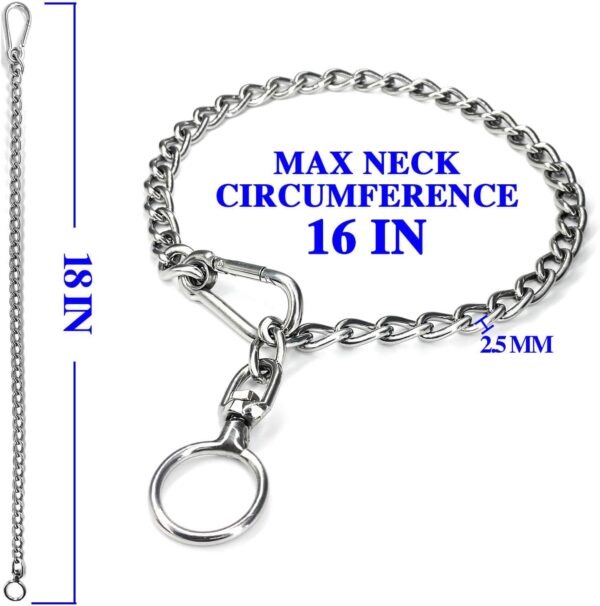 Dog Chain Collars 304 Stainless Steel Metal Chew Proof Dog Necklace Anti Winding Dog Leash Extension Lead for Small Medium Large Dogs Training and Walking. (Small：18in x 2.5mm(Neck max 16in)) - Image 5