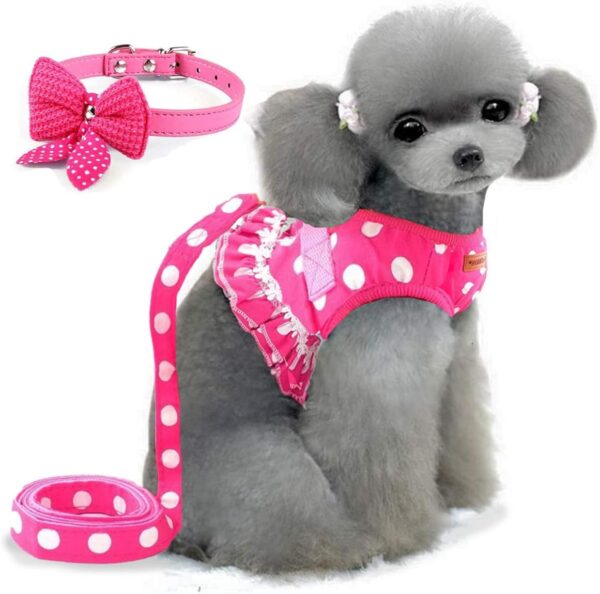 BARKLESS Cute Small Dog Harness, Ladies Polka Dots Dog Vest Harness Set with Pink Leash and Bowknot Collar, 3 in 1 Girl Style Vest Harness Set for Puppy and Cat (L (Chest: 14-18"), Pink)