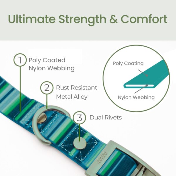 Waterproof Dog Collar | 100% Washable, Stink Proof, Odor Proof, Fade Proof | Easy to Clean, Quick-Dry, Soft & Flexible Yet Durable | Rust & Corrosion Resistant Zinc Alloy Buckle | Teal-M 1" - Image 4