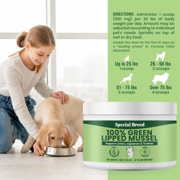 Green Lipped Mussels for Dogs & Cats - Premium Joint Supplement Powder for HIPS, Joints, and Muscles (150 Grams, Up to 500 Servings) - Image 7