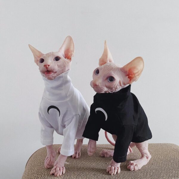 Sphynx Cat Clothes, Moon Print Turtleneck Cotton T-Shirt for Devon Rex Sphynx Cats (Black, Small) - Image 3