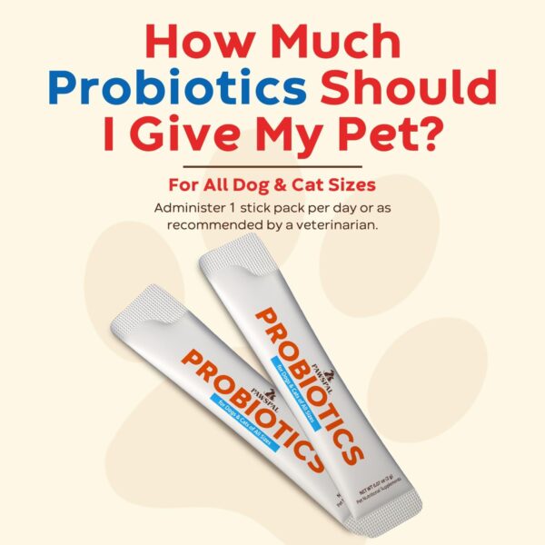 Probiotics for Dogs and Cats, 5 Billion CFU, Veterinarian Formulated, Digestive & Immune Health, Gut Flora Balance, All Natural Probiotic Powder, Chicken Liver Flavor, 40 Sticks - Image 4