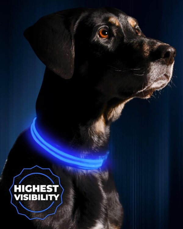 Illumiseen LED Dog Collar USB Rechargeable - Bright & High Visibility Lighted Glow Collar for Pet Night Walking - Weatherproof, in 6 Colors & 6 Sizes (Blue Large)