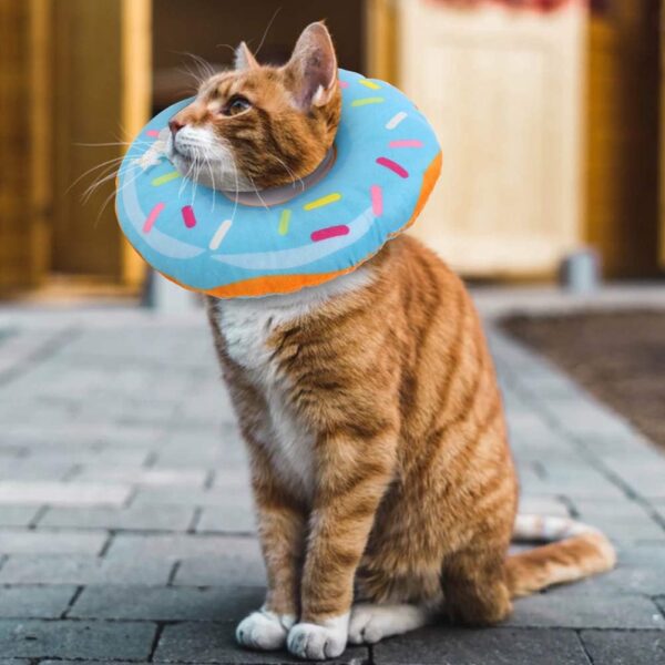 Cat Cone Collar Soft, Cat Recovery Collar Cute Cat Donut Adjustable Elizabethan Cone Cat Cones to Stop Licking Comfortable Lightweight Neck Cone for Cats Kittens After Surgery - Image 5