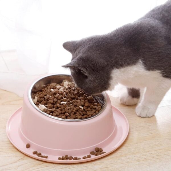 Anti Vomiting 15°Tilted Elevated Dog Cat Bowl Raised Dog Cat Feeder Food Bowls Cat Dog Bowl Raised Cat Food Water Bowl outdoor water bowl - Image 8