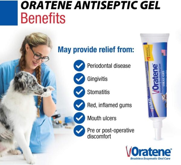 Pet King Brands ZYMOX Oratene Brushless Oral Gel for Dogs and Cats, 1oz - Image 2