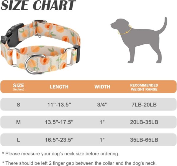 Martingale Collar for Dogs Peach Dog Collar for Small Medium Large Dogs Cute Holiday Summer Dog Collars Pet Gift (Peach,Medium) - Image 6