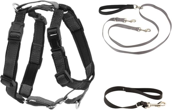 PetSafe 3 in 1 Harness with Two Point Control Leash - No-Pull Harness - Large - Black - Adjustable