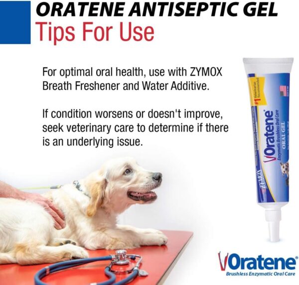 Pet King Brands ZYMOX Oratene Brushless Oral Gel for Dogs and Cats, 1oz - Image 6