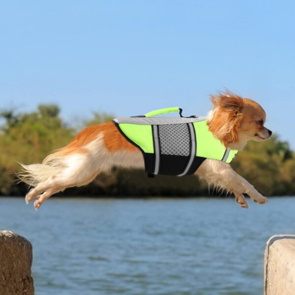 Queenmore Dog Life Jacket Small Float Vests for Swimming Boating Kayaking Mediumn Puppy Dogs Cats Neoprene Life Preserver Pet Water Lifesaver Lightweight Reflective Green,S - Image 6