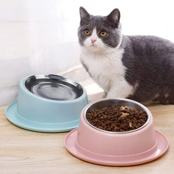 Anti Vomiting 15°Tilted Elevated Dog Cat Bowl Raised Dog Cat Feeder Food Bowls Cat Dog Bowl Raised Cat Food Water Bowl outdoor water bowl - Image 9