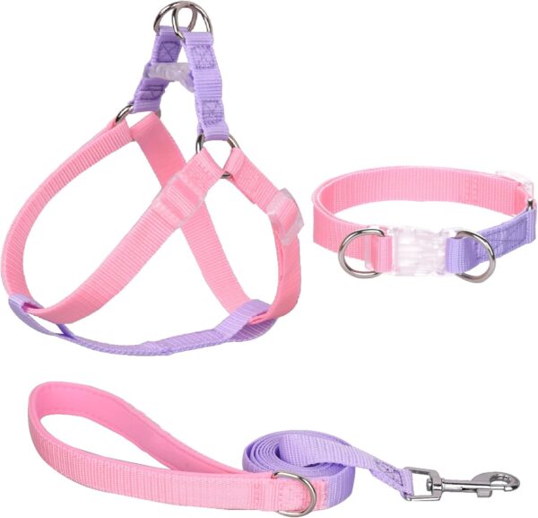 AIITLE Upgraded Dog Halter Harness Collar Leash Set - Durable Adjustable No Pull Dog Halter Harness - Comfortable Padded Handle - for Medium Breed Dogs Outdoor Running Pink-Purple M