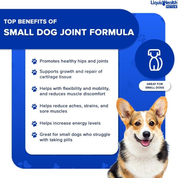 LIQUIDHEALTH 2 Oz Dog Glucosamine Drops Joint Juice, Chondroitin Hip and Joints Relief Vitamin Supplement Formula, Hyaluronic Acid - Small Dogs Canines Puppies - (2 Pack) - Image 3