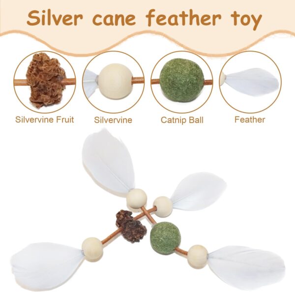 Cat Toys Catnip Silvervine Fruit Feather Toy,Chew and Molar Toys for cats,Used to let cats Play,Relieve Anxiety,Soothe Mood,Clean Teeth,100% Natural,2PCS - Image 2