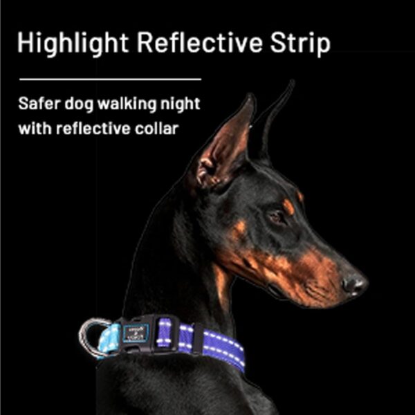 Roses&Poetry Reflective Dog Collar with Gradient Violet, Adjustable Durable Pet Collars for Small Medium Large Dogs (Violet-S) - Image 5