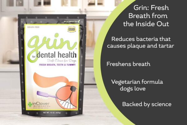 In Clover Natural Dental Treat Chew for Dogs, Grin, Fresh Breath Dog Chew Treat with Prebiotics, Fresh Breath Tartar Control Chew for Dogs, Daily Chew Supplement for Dogs Supports Dog Gums and Teeth - Image 4