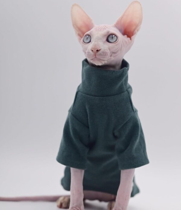 DUOMASUMI Sphynx Cat Clothes Self-Heating Warm Thermal Underwear Hairless Cat Clothes for Sphynx, Devon, Cornish Cat Clothes and Small Kitten and Dogs(Grey-L - Image 4