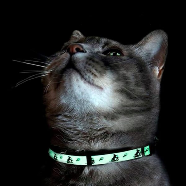 Pawtitas Glow in The Dark Cat Collar with Safety Buckle and Removable Bell Cat Collar Kitten Collar Green Cat Collar - Image 7