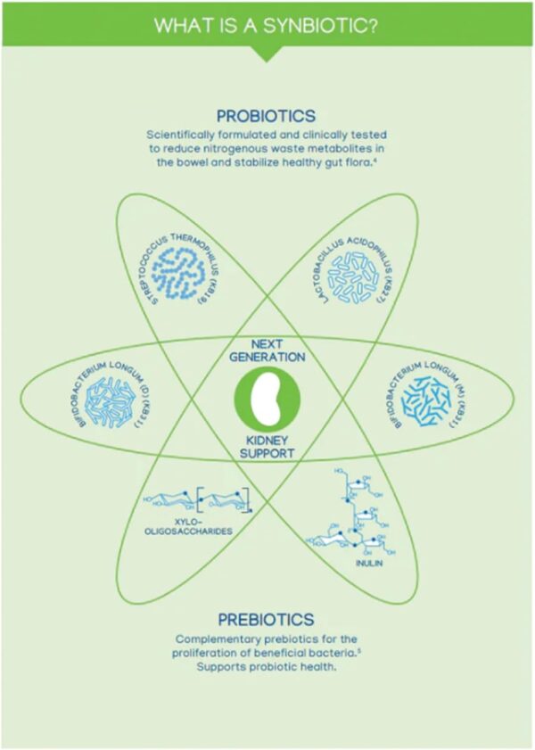 NEPHRODYL Synbiotic Capsules for dogs and cats - Image 5