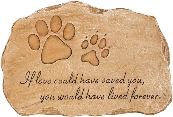 Evergreen Pet Paw Print If Love Could Have Saved You Garden Memorial Stone | Outdoor Safe | 12-Inch | Rainbow Bridge | Rememberance for Lost Love One