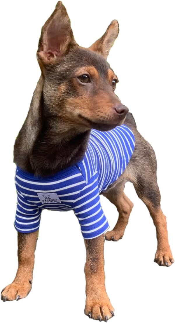 YQYS Pet Dog T-shirts Striped Cotton Tee Shirt for Small Dogs and Cats Puppy Clothes Dog Apparel Teacup Dog Clothing for Chihuahua Yorkie Poodle Blue White XXSmall