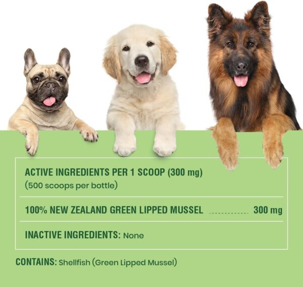 Green Lipped Mussels for Dogs & Cats - Premium Joint Supplement Powder for HIPS, Joints, and Muscles (150 Grams, Up to 500 Servings) - Image 6