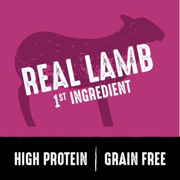 CRAVE Grain Free High Protein Adult Dry Dog Food with Lamb, 22 lb. Bag - Image 3