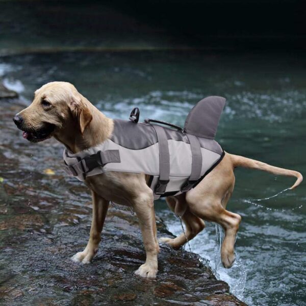 Queenmore Dog Life Jacket Ripstop Shark Dog Safety Vest Adjustable Preserver with High Buoyancy and Durable Rescue Handle for Small,Medium,Large Dogs, Grey Shark Small - Image 7