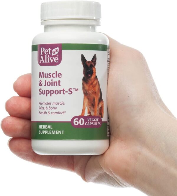 PetAlive Muscle & Joint Support-S for Bone and Joint Health and Comfort, 60 Caps - Image 4