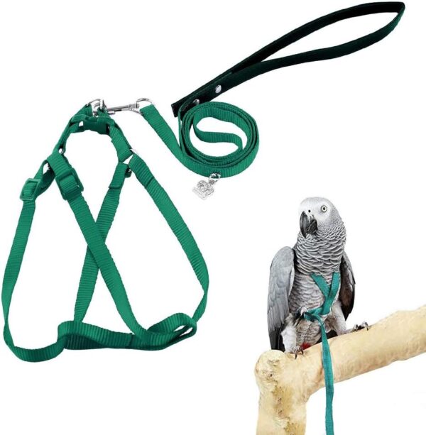 ASOCEA Adjustable Bird Harness and Leash for Yellow Naped Amazons Galah Cockatoos Small to Medium Breed Parrots Fits Birds Chest Between26-40cm /10.24-15.75inch - S