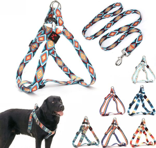 Dog Harness and Leash Set, Pretty Pattern No-Pull Pet Halter Puppy Vest Outdoor Easy Walk for Small Medium Large Breed Pug Bully Mastiff Dogs Female Male, Boho M