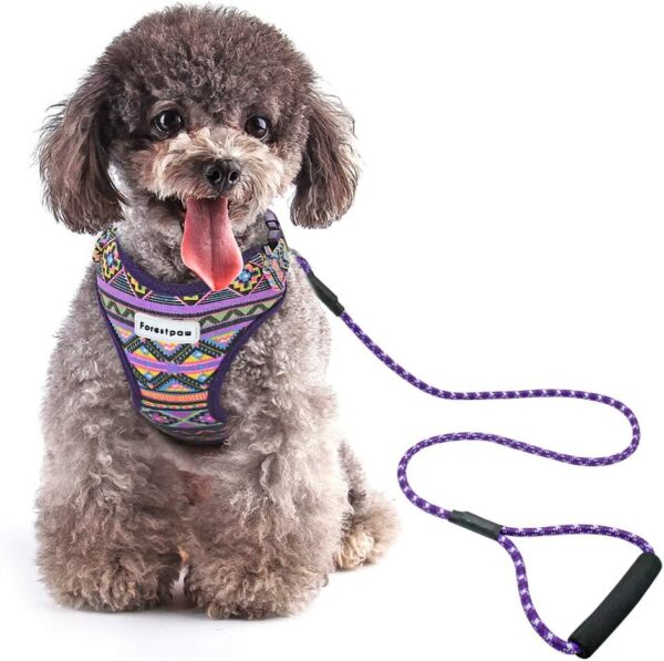 Forestpaw Adjustable Puppy Harness,Multi-Colored Stylish Dog Walking Vest Harness and Leash Set- Soft Mesh Padded No Pull Dog Harness for Small Dogs,Purple,Fits Chest 11-14" - Image 5