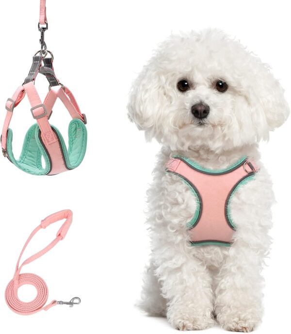 Newest Dog Harness and Leash Set, Escape Proof Soft Adjustable Vest Harnesses, Easy Control Breathable Reflective Strips Jacket, Training for Small Medium Dogs, Cats, Pink XS