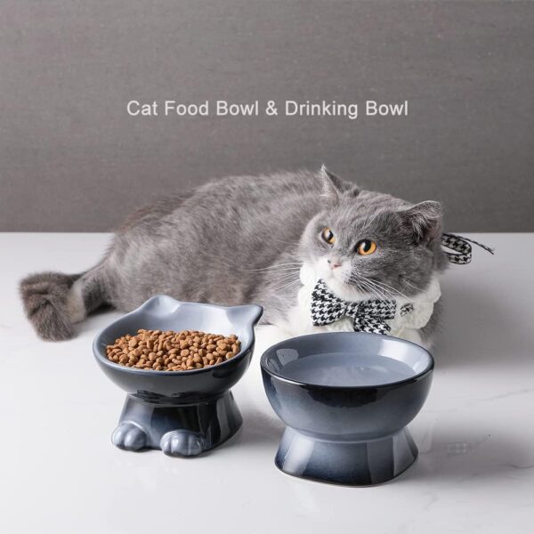 Nihow Elevated Cat/Dog Bowls: 5 Inch Ceramic Raised Cat Food & Water Bowl Set for Protecting Pet's Spine - Feeding & Watering Supplies for Pets - Elegant Gray (4.5 OZ /1 PC) - Image 8