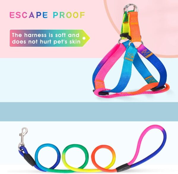 PetsHome Dog Harness & Leash Set Adjustable No Pull Safe Nylon Pet Harness with Leash for Outdoor Walking for Dogs Small Rainbow - Image 4