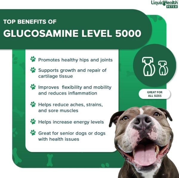 LIQUIDHEALTH 32 Oz K9 Liquid Glucosamine for Dogs Level 5000 with Glucosamine Chondroitin, Dogs MSM, Boswellia Serrata – Dog Hip and Joint Health, Dog Vitamins for Dog Joint Pain, Dog Joint Oil - Image 4