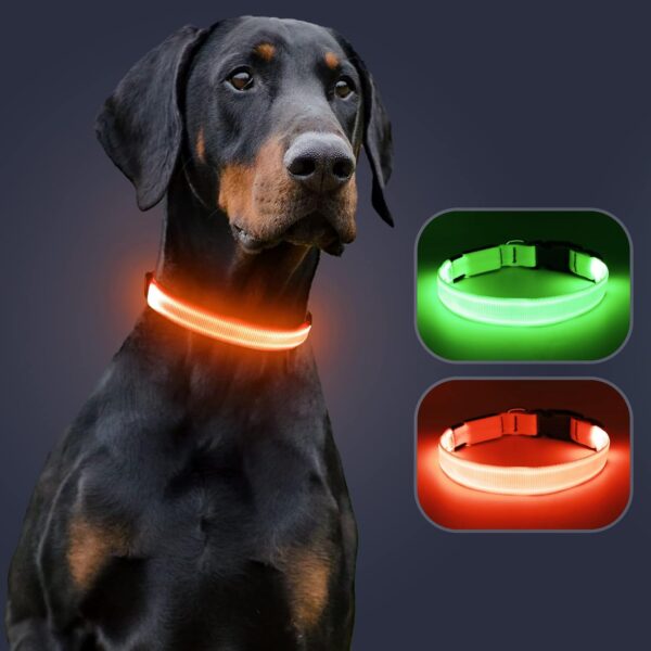 Light Up Dog Collar at Night, Led Dog Collar Adjustable, Lighted Dog Collar Rechargeable Waterproof, Dog Lights for Night Walking, Glow in The Dark Dog Collars Light for Medium Large Dogs OL - Image 9