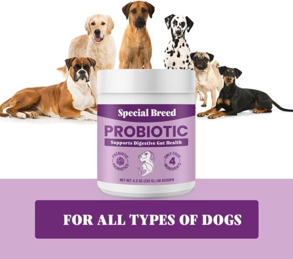 Probiotic Powder for Dogs - Probiotics Digestive Supplement with Bone Broth for Your Dog, Supports Healthy Pet Digestion, 8.2 oz - Image 5