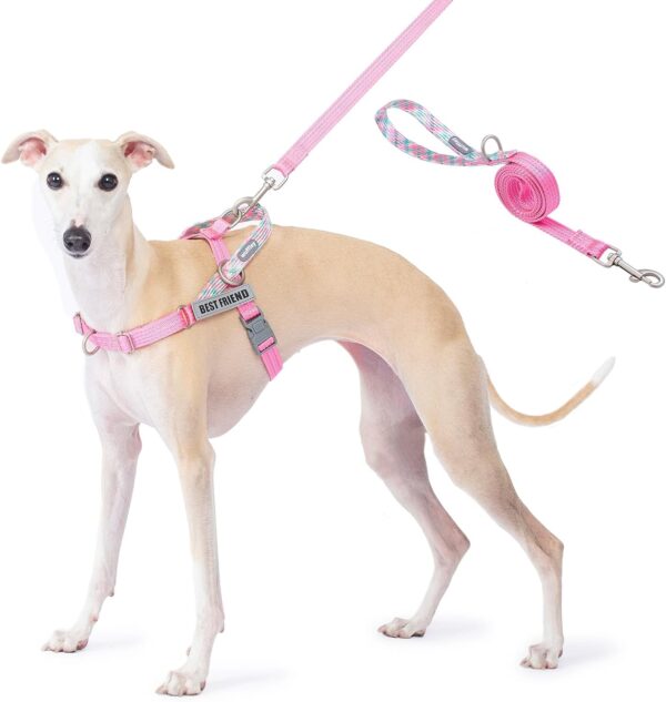 Reflective Dog Harness and Leash Set,No Pull Dog Harness with 2 Patches,Escape Proof/Quick Fit to Adjust Dog Vest Harness,Easy for Training Walking for Small,Medium & Large Sized Dogs(Pink,M)