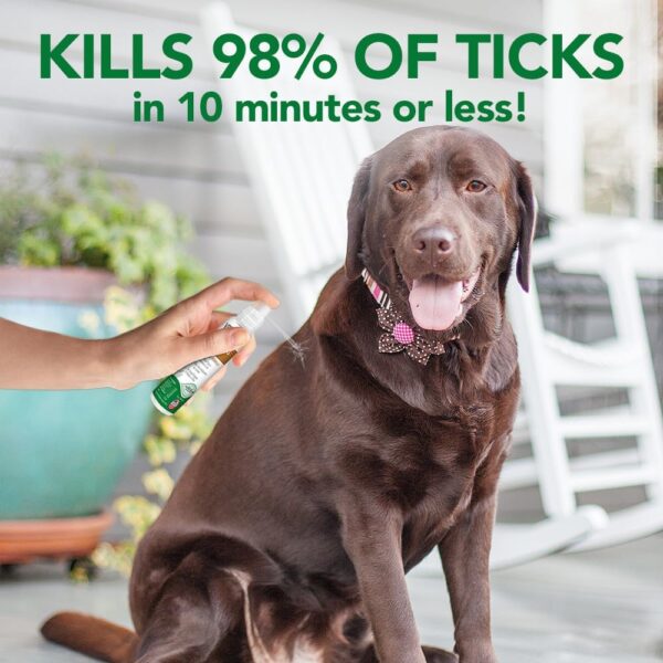 Vet's Best Tick Killing Spray | Tick Treatment Spray for Dogs | Plant-Based Formula | 1 Ounce - Image 3