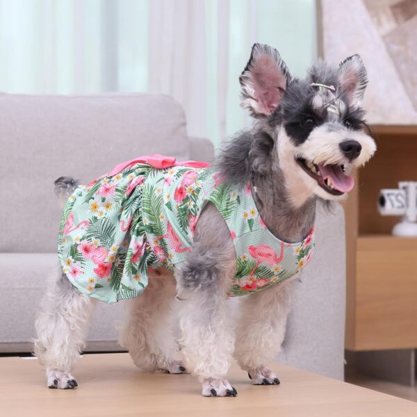 CuteBone Dog Mesh Dress Puppy Sundress Pet Outfit Summer Fashion for Small Dogs Girl Cat Clothes BF34S - Image 5