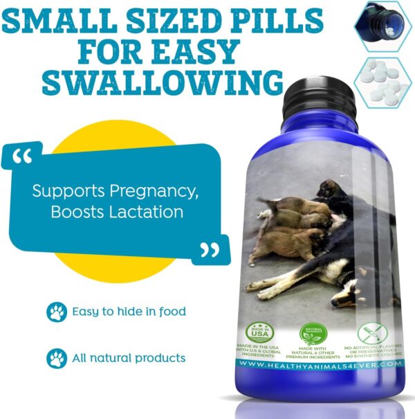 Healthy Animals 4Ever Supports Pregnancy, Boosts Lactation May Prevent Potential Pregnancy & Nursing Issues Safe, Caring, Natural Support Solution Fast Acting Formula Guarantee - Image 4