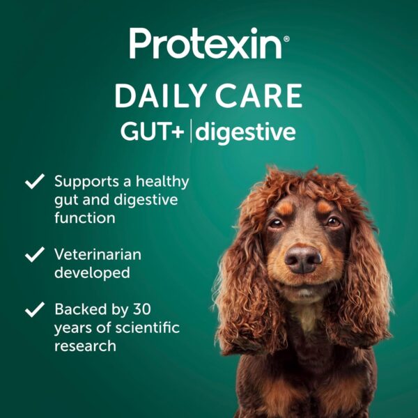 Daily Care Gut+ Digestive, 60 probiotic and postbiotic Dog Supplement Chews – Chicken and Carob Flavored - Image 4