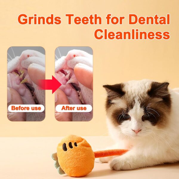 GXUANAN Anti-Bite Catnip Toy for Indoor Cats, Anxiety Relieving Chew Toy for Cats, Cleans Teeth, Promotes Digestion, Interactive Kicking Cat Toys (4 pcs), 20.86in - Image 6