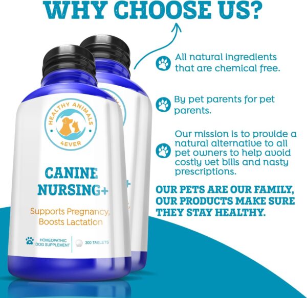 Healthy Animals 4Ever Supports Pregnancy, Boosts Lactation May Prevent Potential Pregnancy & Nursing Issues Safe, Caring, Natural Support Solution Fast Acting Formula Guarantee - Image 5