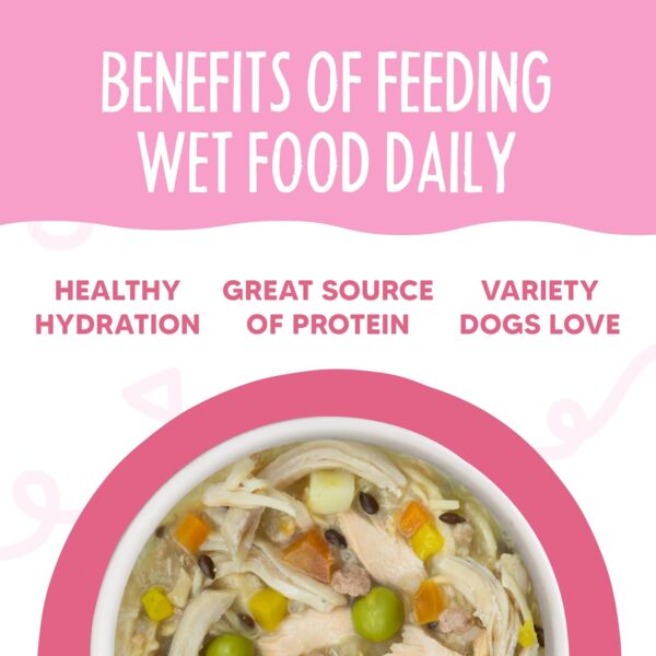 Weruva Meals 'n More Natural Wet Dog Food, Belly Belly Nice! Digestive Support Variety Pack, 3.5oz Cup (Pack of 10) - Image 6