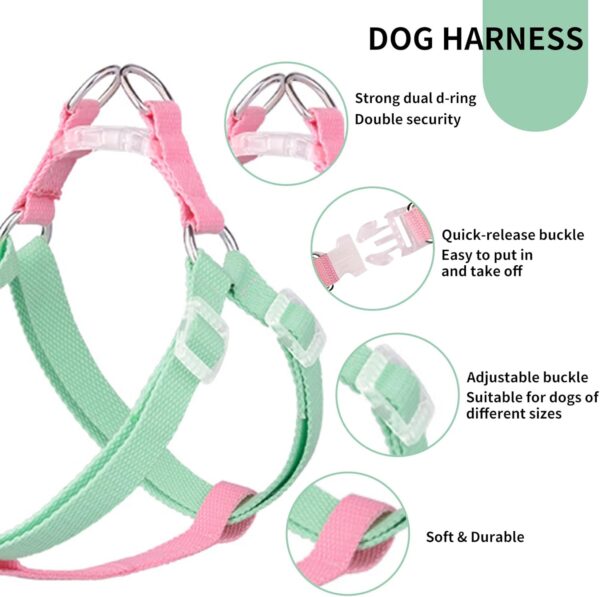 AIITLE Step in Dog Harness & Leash & Collar - Multicolor Lightweight Dog Halter Basic Collar with A 5FT Leash - for Extra Small Dogs Daily Walking and Training Green-Pink XS