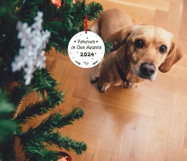 WaaHome Picture Frame Dog Memorial Christmas Ornaments 2024 Forever In Our Hearts Pet Memorial Ornaments for Christmas Tree, Pet Memorial Gifts, Sympathy Remembrance Gifts for Loss of Dog Cat Pet - Image 3