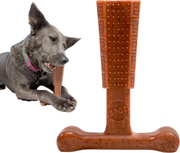 SPOT Bam-bones PLUS T Bone - Bamboo Fiber & Nylon, Durable Long Lasting Dog Chew for Aggressive Chewers – Great Toy for Adult Dogs & Teething Puppies under 60lbs, Non-Splintering, 6in, Beef Flavor