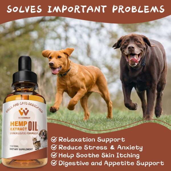 (3-Pack) Hemp Oil for Dogs Cats -Calming Drops Dog Relaxants - Help Pets Anxiety Stress Hip & Joint Pain Relief Arthritis - Organic Pet Hemp Treats